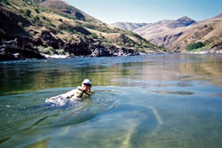 salmon river scenic byway white water rafting on the lower salmon river